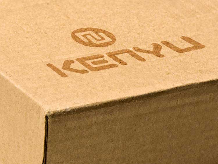 Branding für Kenyu Solutions